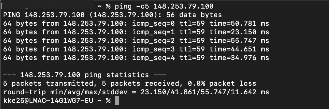 ping command