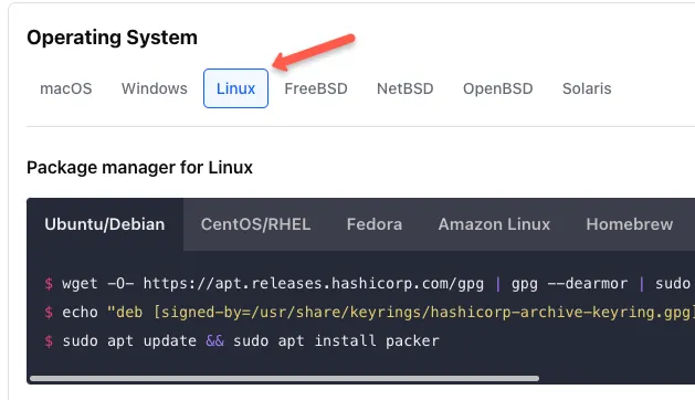 packer download page
